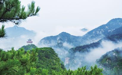 为什么现在的车都是cvt游戏画面